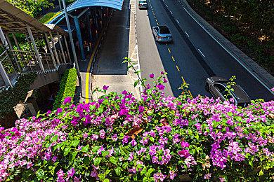 《马力欧＋疯狂兔子：王国之战》5周年 玩家突破1000万